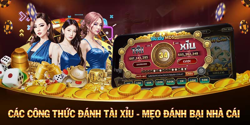 ZOWIN-Casino trực tuyến - Thế giới của cảm xúc và phần thưởng! ZOWIN-Casino trực tuyến - Thế giới của cảm xúc và phần thưởng!
